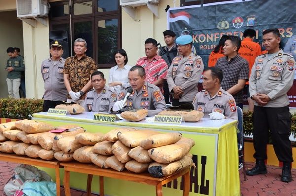 3 Pemuda di Madina Bawa 47 Kg Ganja Tak Berkutik Ditangkap, Satu Pelaku Ditembak