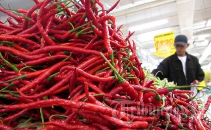 Harga Cabai di Sumut Tiba Tiba Melonjak, Waspadai Gejolak Harga Dalam Jangka Pendek