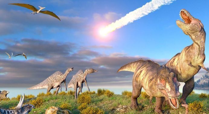 Berapa Kali Bumi Mengalami Kepunahan Massal?