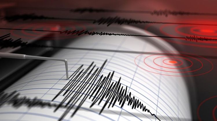 BMKG Mencatat 706 Kali Gempa Susulan Guncang Jayapura