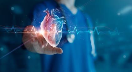 Ketahui Masalah Jantung Bocor Bawaan Pada Anak Melalui Deteksi Dini