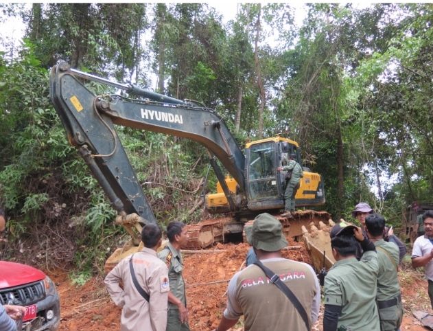 Pemodal Penambangan Emas Ilegal di Taman Nasional Batang Gadis Terancam Pidana Berlapis