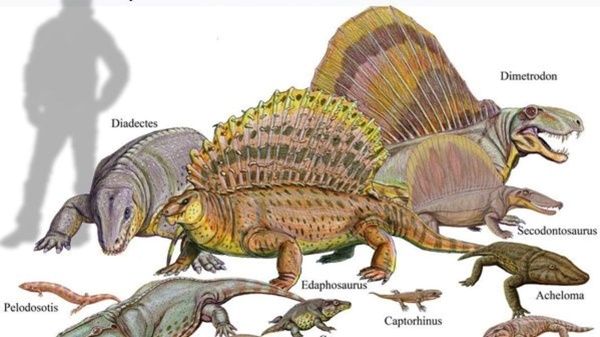Apakah Ada Hewan yang Hidup Sebelum Zaman Dinosaurus?
