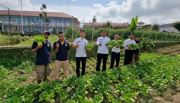 Lapas Narkotika Pematang Siantar Panen Raya Sayur Pakcoy Hasil Budidaya WBP