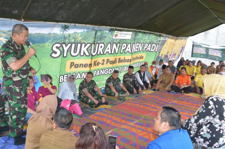 Pangdam I/BB Panen Padi Bebas Pestisida Seluas 5.000 M&sup2;