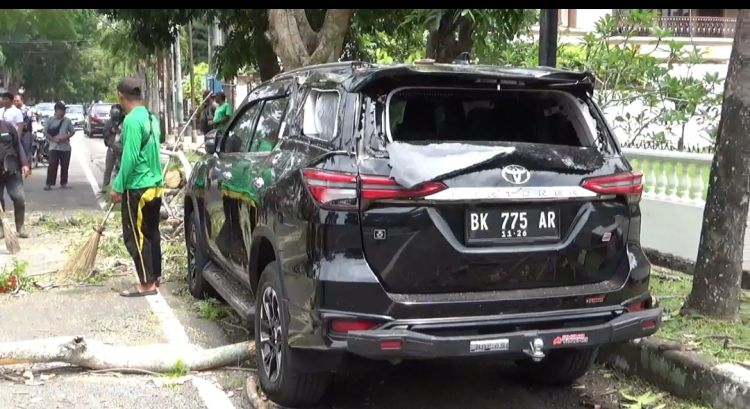 Pohon Tumbang di Jalan Samanhudi Timpa Dua Mobil Mewah
