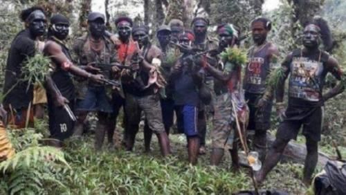 KKB Semakin Brutal, Bunuh Perempuan dan Menembak 6 Warga