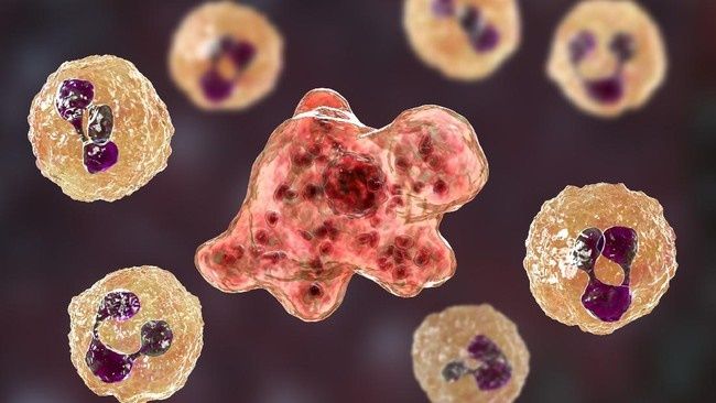 Pakar Temukan Virus Berusia 48.500 Tahun Masih Bisa Menginfeksi