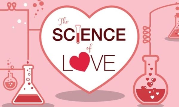 Apakah Rasa Cinta Bisa Diteliti dengan Sains? Cek Faktanya