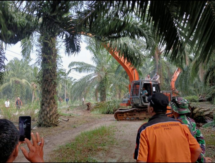 Ratusan Aparat Gabungan Amankan Okupasi di Kebun Bulu Cina PTPN2