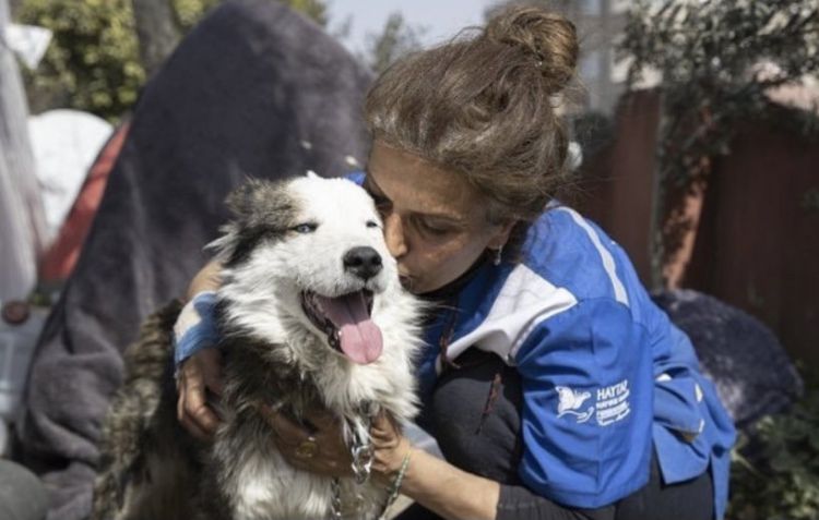 Terjebak Puing Gempa Turki Selama 22 Hari, Seeokor Anjing Siberian Husky Ditemukan Selamat