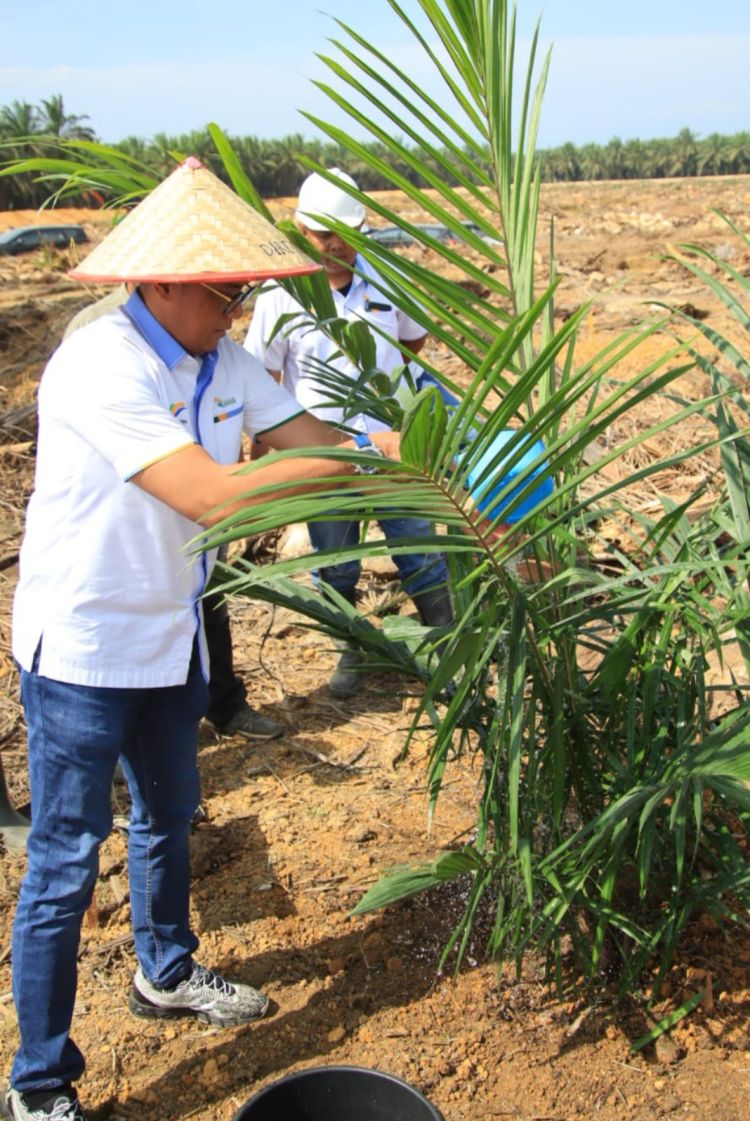 Ditantang Pemegang Saham Untuk Jadikan PTP 2 Terbaik di PTPN Grup
