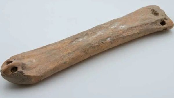 Terbuat dari Tulang Hewan, Papan Ski Berusia 3.500 Tahun Ditemukan di China