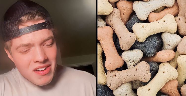 Hobi Konsumsi Makanan Anjing