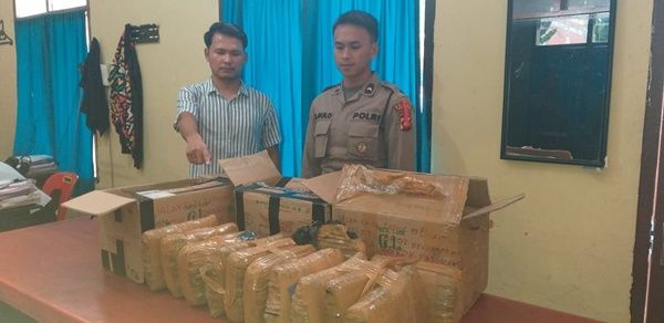 Kerjasama Polres Taput dan Bandara Silangit Gagalkan Peyelundupan 12 Kg Ganja Kering dalam Kardus