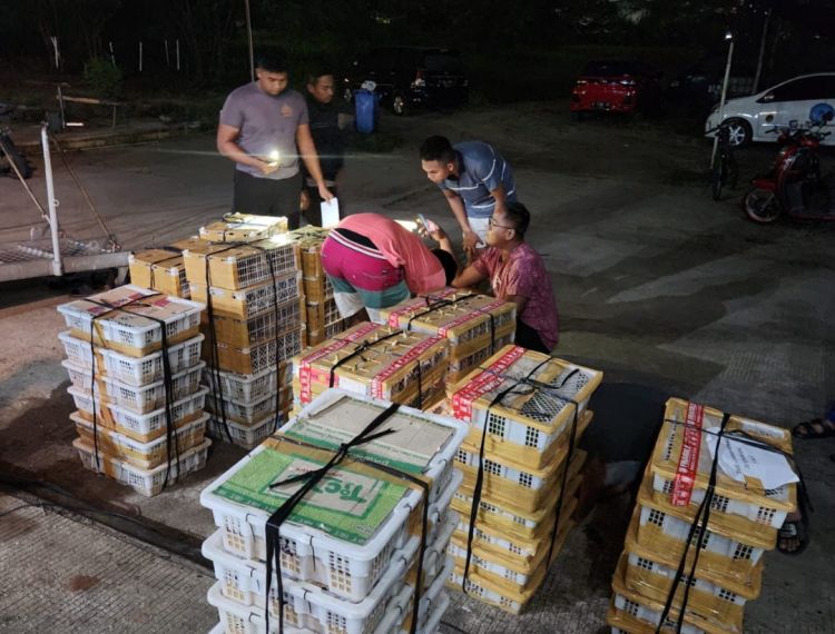 Ratusan Ekor Burung Dilindungi Gagal Diselundupkan