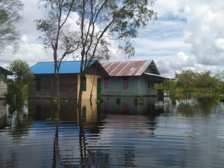 Banjir di Mappi Papua Selatan Berdampak Pada 639 Jiwa