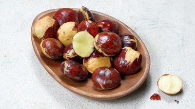 Benarkah  Kebanyakan Makan Jengkol Bikin Gagal Ginjal, Ini Jawabannya