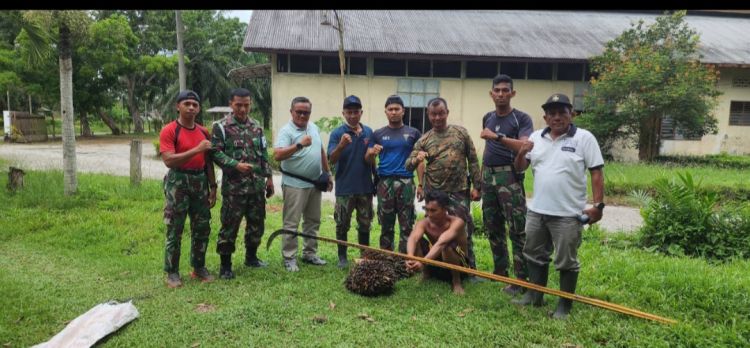 Pencuri Sawit Kambuhan Diserahkan ke Polsek Pagar Marbau, Kapolsek Janji Akan Lanjutkan Kasusnya Hingga ke Persidangan
