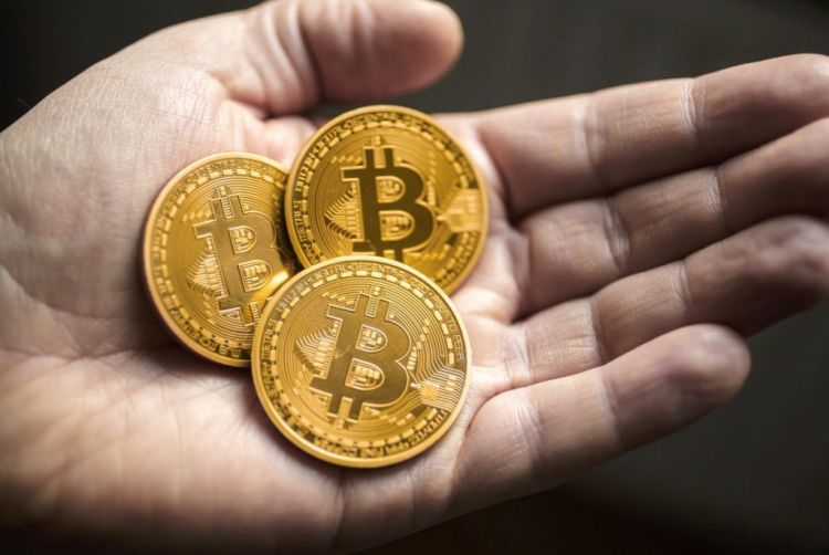 Jumlah Dompet Pemegang Bitcoin Utuh Kini Lampaui 1 Juta