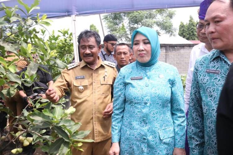 Tinjau Rumah Pangan dan Lounching Bapak Asuh Anak Stunting Binjai, Ini Pesan Ketum TP PKK Pusat