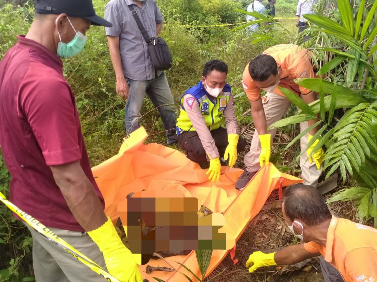 Geger, Tengkorak Perempuan Ditemukan di Kebun Sawit PTPN2
