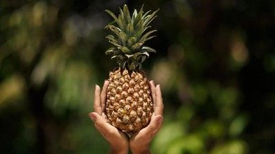 9 Buah Terbaik untuk Diet