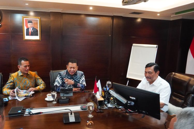 Temui Menko Marves, Wagub Minta Proyek Nasional di Sumut Dipercepat