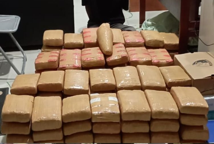 Gagalkan Peredaran 135 Kg Ganja, Polda Sumut Tangkap Tiga Tersangka