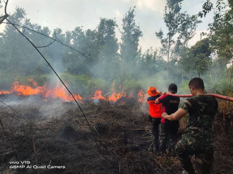 Petugas Gabungan Padamkan 26 Hektar Lahan Terbakar di Kabupaten Barito Selatan