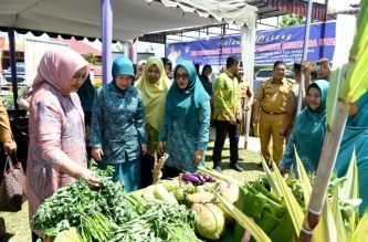 Monitoring PKK di Tebingtinggi, Nawal Lubis Bangga Banyak Program Berjalan