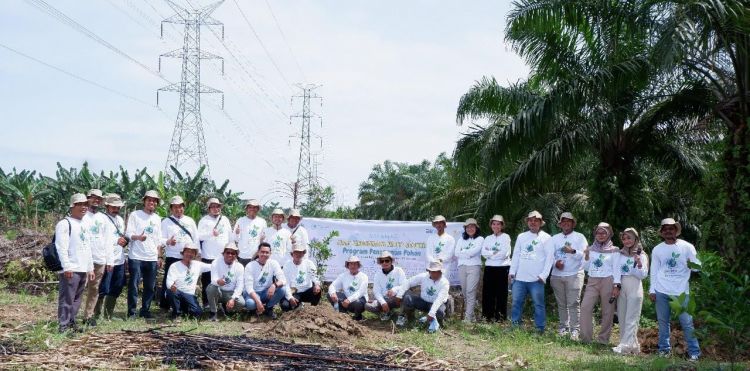 PLN UPT Medan Tanam 190 Pohon Bersama Warga, Wujud Nyata Peduli Bumi