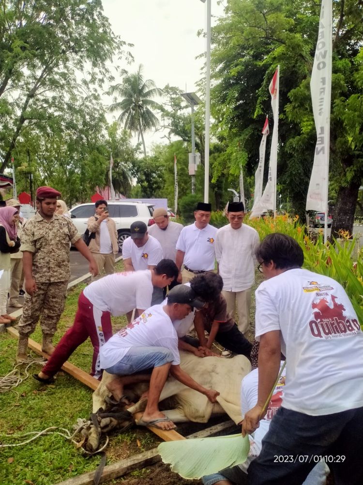 Rayakan Idul Adha 1444 H, Gerindra Sumut Giat Gerakan Indonesia Raya BerQurban