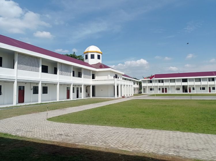 Ayo, Donor Darah dan Tanam Pohon di Acara Reuni Akbar Alumni SMA N 2 Medan