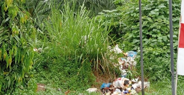 Kebun Tanjung Garbus PTPN2 Dijadikan Lokasi Buangan Sampah Rumah Tangga
