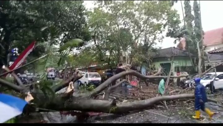 Angin Kencang Terjang Kota Malang, Empat Luka-luka
