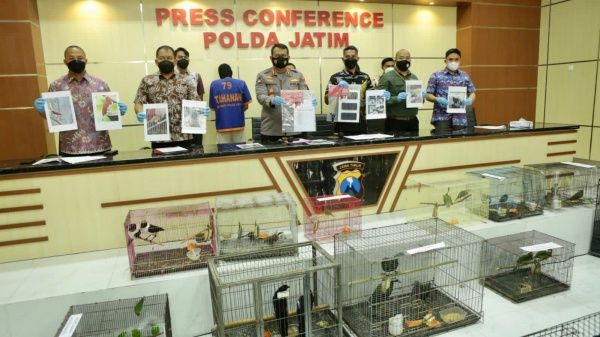 Dalam Kurun Waktu 3 Bulan, Polda Jatim Selamatkan 304 Satwa Dilindungi dari Perdagangan