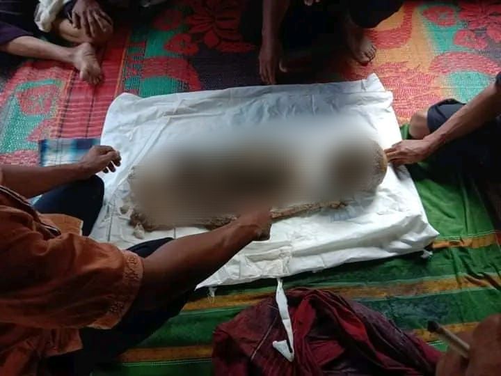 Warga Tapsel Tewas Dimangsa Harimau Sumatera