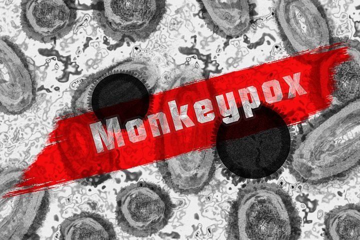 Kasus Cacar Monyet Pertama di Indonesia Ditemukan, Ini Penjelasan Kemenkes