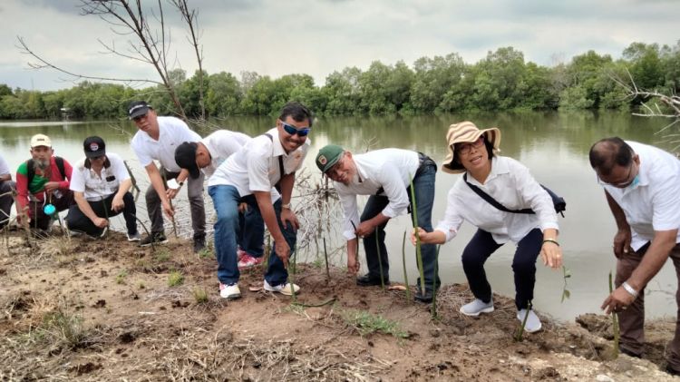 PPAD Sumut Ajak Berbagai Pihak Kolaborasi Dukung Konservasi Mangrove