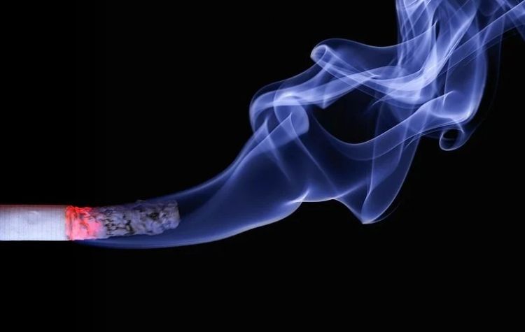Waspada, Jangan Sampai Belanja Rokok Abaikan Gizi Anak