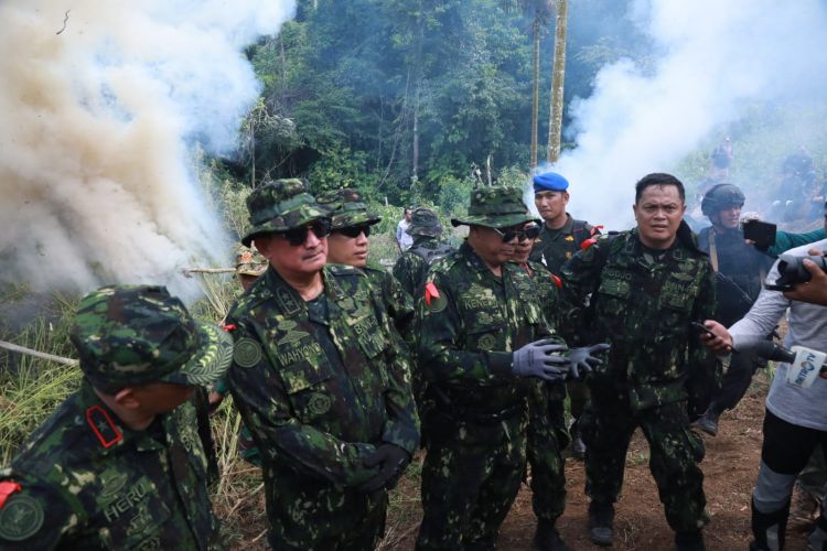 7 Jendral Turun ke Aceh, Seser dan Musnahkan Ladang Ganja