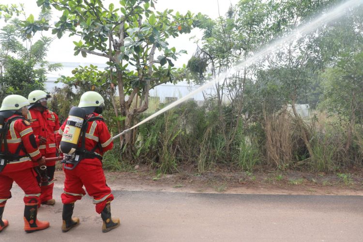 Jelang DWG G20 Belitung, BNPB Simulasikan Penanganan Kebakaran