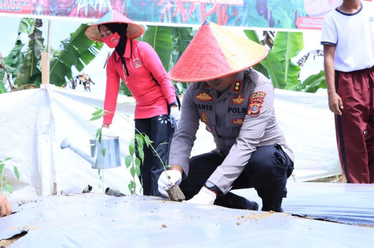 Program Penanaman Palawija Ketahanan Pangan Polres Subulussalam