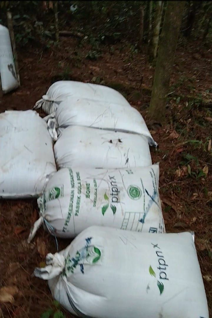 Penderesan Getah Tusam di Gunung Meriah Marak, Polresta Deli Serdang Akan Tindaklanjuti