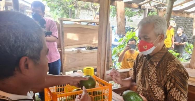 Alpukat Rifai Pernah Dilelang Rp1,1 Juta Per Buah