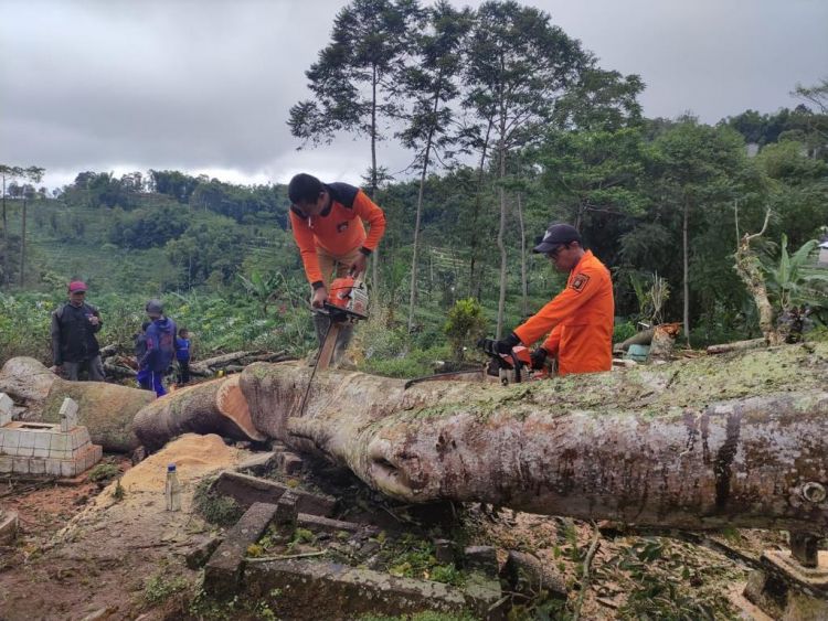 Dampak Cuaca Ekstrem, Tanah Longsor dan Angin Kencang Terjang Kabupaten Wonosobo