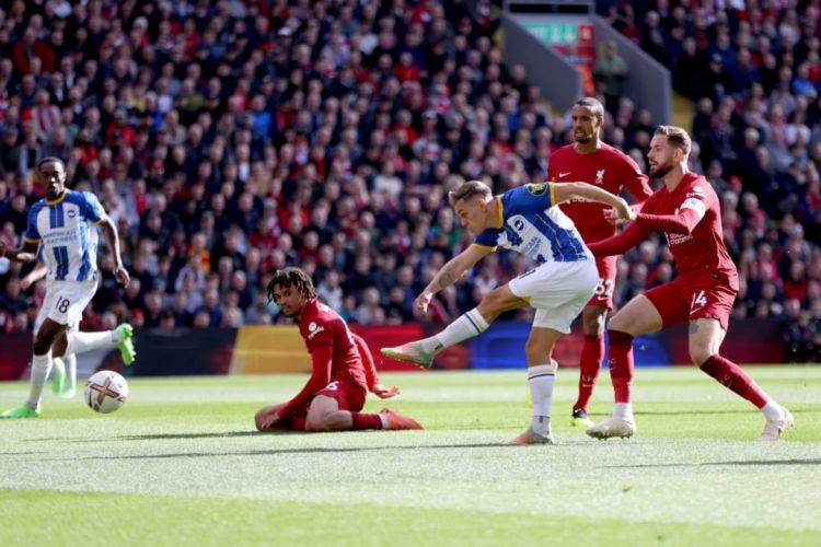 Brighton Sukses Imbangi Liverpool 3-3