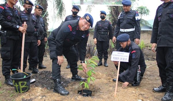 Gelorakan Go Green, Danyon B Brimob Poldasu Lakukan Penanaman Pohon