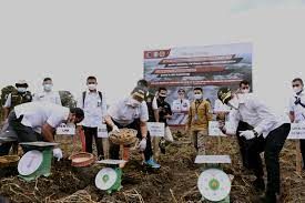 Petani Humbahas Tingkatkan Produktivitas Kentang